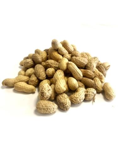 *Special* Peanuts in Shells 200g Premium Safe Wild Bird Food Monkey Nuts Afflotoxin Free Peanut 200 g (Pack of 1)