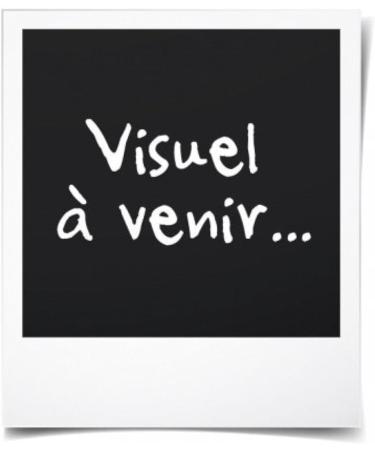 Beurer HT80 Rotating Brush 1000W - Premium Hair Styling Tool | Fast International Shipping - Buy Online on GoSupps.com