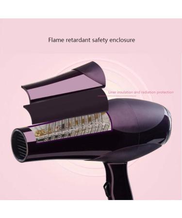 2000W Powerful Quick Drying Salon Professional Hair Dryer Compact Anti-frizz Ionic Hairdryer with 2 Styling Nozzle and Diffuser 3 Heat 2 Speed Settings Blow Hair for Home and Salon Black Small - Buy Online on GoSupps.com