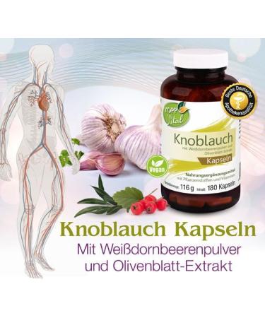 Kopp Vital Garlic Capsules - 3 x 180 Capsules | Dietary Supplements with Vitamin C & B1 | Pharmacy Quality | International Shipping Available - Buy Online on GoSupps.com