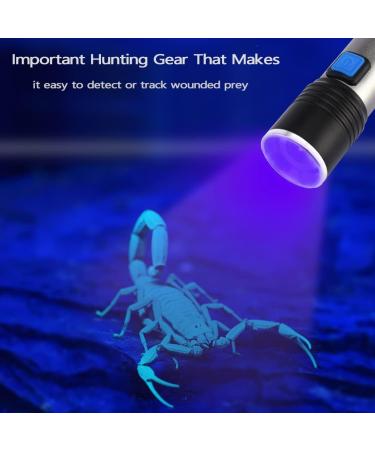 LEAGY 2-Pack USB Rechargeable 395nm Mini UV Torch Adjustable Zoom & Brightness 3 Light Modes - for Pet Urine Detection Scorpion Hunting Counterfeit Detection UV Glue Curing Nail Art etc - Buy Online on GoSupps.com