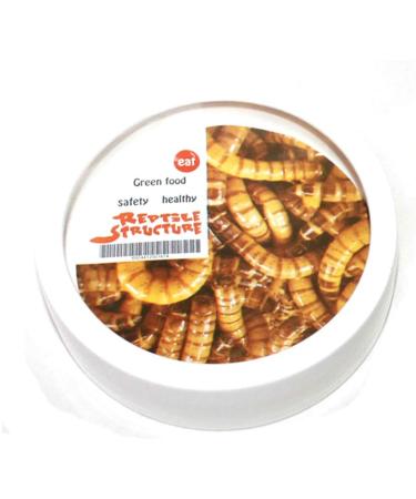 Reptile Food Water Dish Worm Bowl Mealworm Feed Feeder Mini Reptile Food Bowl Ceramics Made (L) - Buy Online on GoSupps.com