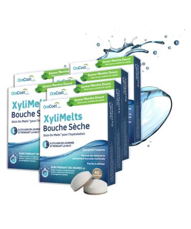 XYLIMELTS Bouche S che Maxi Format 240 Pastilles Adh rentes Menthe Douce| Soulage la S cheresse Buccale Jour & Nuit| Action Jusqu 8h| Sans Sucre au Xylitol| Discret & Naturel| Test Cliniquement