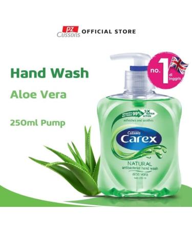 Buy Carex Aloe Vera Handwash 250ml - Moisturizing & Antibacterial Formula for Healthy Hands | Fast International Shipping - Buy Online on GoSupps.com