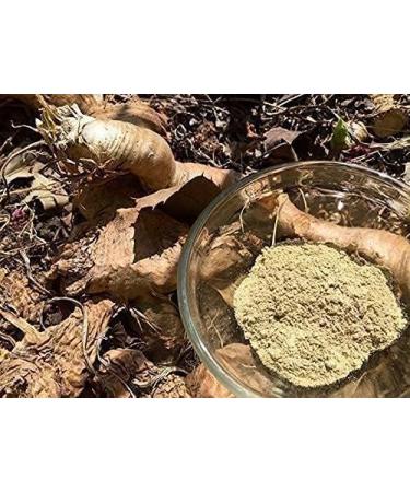SENTA Mondia Whitei Root Powder (250 Grams) - Buy Online on GoSupps.com