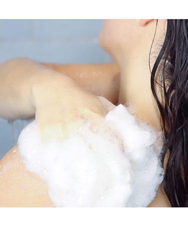 SBC Grapefruit & Ginger Skincare Gel 500ml - Buy Online on GoSupps.com