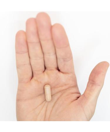Ethlete NAD+ Longevity + Energy Supplements with NR Rhodiola Rosea TMG & Theacrine Maximize Strength & Recovery NAD+ Supplement PQQ for Anti-Aging 60 Capsules - Buy Online on GoSupps.com