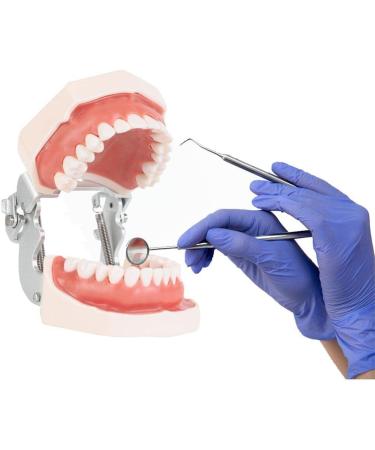 Wudaizhi Dental Model with Removable Teeth - Perfect for Teaching & Practice | International Shipping Available - Buy Online on GoSupps.com
