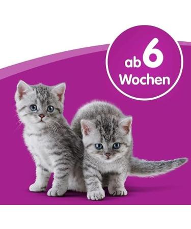 WHISKAS Cat Milk 200ml - Supplementary Feed for Cats & Kittens Over 6 Weeks | International Shipping Available - Buy Online on GoSupps.com