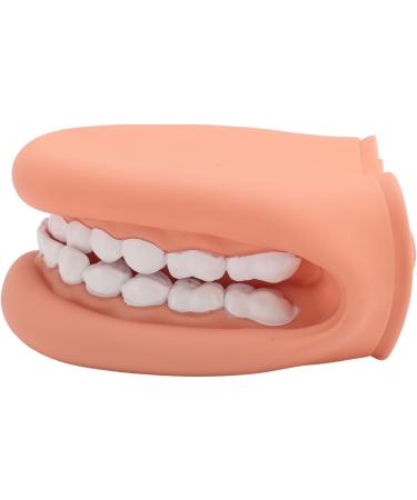 Mouth Hand Puppet - Educational Dental Care Model with Tongue for Children s Learning - Buy Online on GoSupps.com