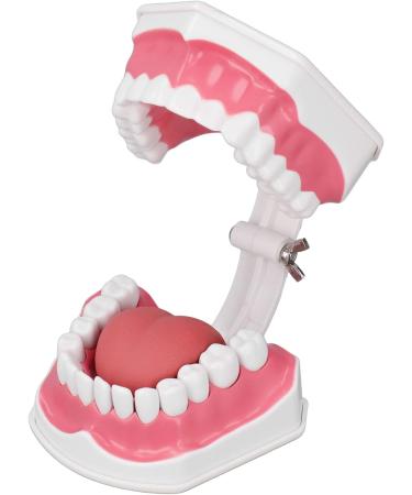Vomeko Tooth Brushing Practice Model for Kids - Ideal Training Set with Brush - International Shipping Available - Buy Online on GoSupps.com