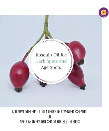 Pure Rosehip Seed Oil with Glass Dripper - 100ml x 2 Cold-Pressed & Therapeutic Quality - DEve Herbes - Buy Online on GoSupps.com