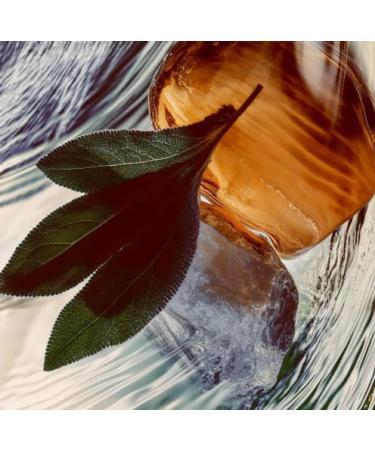 Fine'ry. Why Not Men's Eau De Cologne 2 fl oz - Buy Online on GoSupps.com