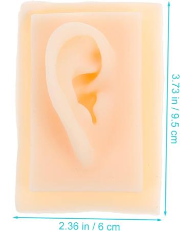 Silicone Tool 1 Pair Ear Model Science Teaching Tools Teaching Aid Ear Model Human Body Model Massage Tool Pro Tools Ear Models Ear Presentation Model Ear Model Body - Buy Online on GoSupps.com