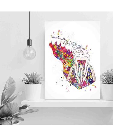 DAVUD Home Decor Bedroom Molar Tooth Section Diagram Watercolor Print Human Teeth Dental Office Clinic Decor Art Dentistry Dentist Gift Dental Hygienist- 16in x24 in-Ready to hang - Buy Online on GoSupps.com