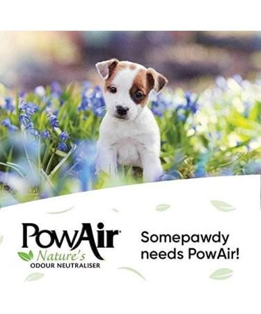 PowAir Penetrator Spray All-Natural Odor Neutralizer & Stain Remover (500ml Spray) - Buy Online on GoSupps.com