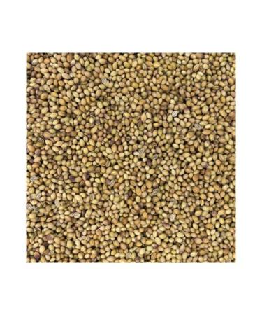 Corriander Seed Whole (114 G)