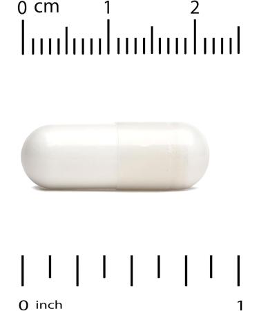 Lake Avenue Nutrition Total Amino - 240 Veggie Capsules for Enhanced Performance | International Shipping Available - Buy Online on GoSupps.com