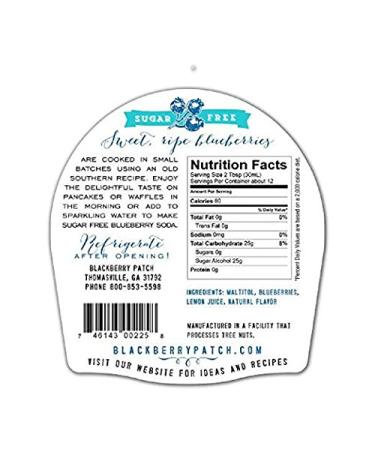 Blackberry Patch Ns Wild Blueberry Syrup 12 oz - Natural Flavor, Pack of 1 - Buy Online on GoSupps.com