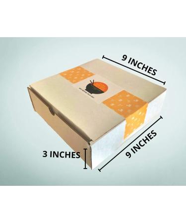 Delicious Mashi Box Asian Dagashi Snack Surprise - 25 Piece Snack Assortment with Instant Noodles & Drinks - Buy Online on GoSupps.com