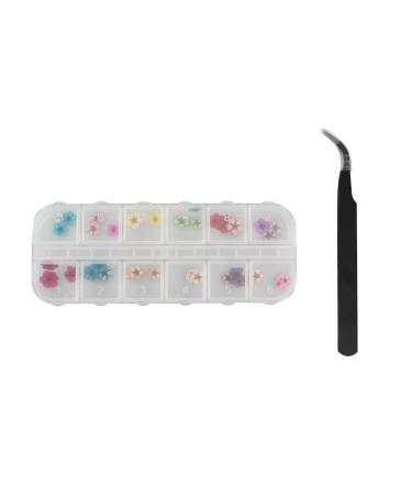 TouGod 36pcs Dried Flowers for Nails Dried Flower Real Nail Art 3D Nail Decoration with Tweezers