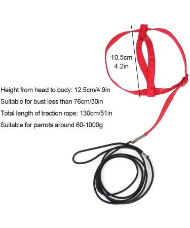 Buy Mioyoow Parrots Flight Harness - Adjustable Training Rope & Portable Bird Dishes for Small & Medium Parrots - Buy Online on GoSupps.com