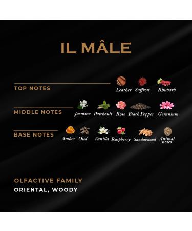 ILMIN Parfums IL MALE Extrait De Parfum Spray 1oz / 30ml - Buy Online on GoSupps.com