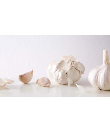 Black Walnut and Wormwood Capsules - Wormwood and Black Walnut Complex 1500 MG - Garlic Supplements Black Walnut Powder Wormwood herb Plant Black Walnut Hull Powder Clove Wormwood - 1B 60 Caps - Buy Online on GoSupps.com