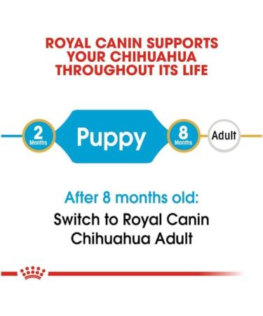 Royal Canin Chihuahua Puppy | Pack of 3 | 3 x 500 g | Complete food specially designed for Chihuahua puppies | Up to 8 months | May help reduce stool odors - Buy Online on GoSupps.com