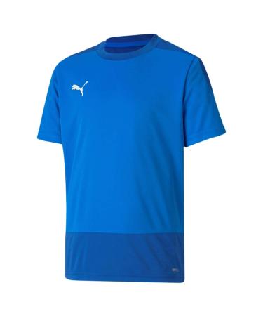 PUMA Unisex Kinder teamGOAL 23 Training Jersey Jr T-shirt 140 Electric Blue Lemonade-team Power Blue