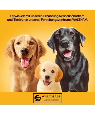 Buy Pedigree Adult P t with 3 Poultry Types - 12 x 400g | International Shipping Available - Buy Online on GoSupps.com