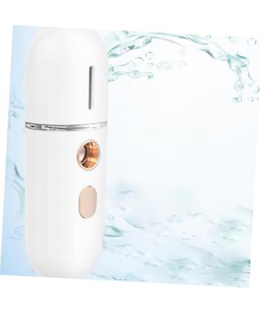 FRCOLOR 3pi ces Vaporisateur Facial Portable Nano Brumisation Humidificateur De Visage Pratique Pour Hydratation Quotidienne Pour Bureau Et Voyage Design Compact Et R servoir De - Buy Online on GoSupps.com