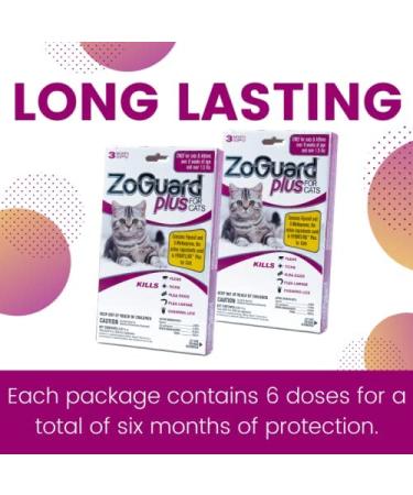 ZoGuard Plus for Cats 1.5+ lbs - 6 Dose Flea and Tick Prevention - Buy Online on GoSupps.com
