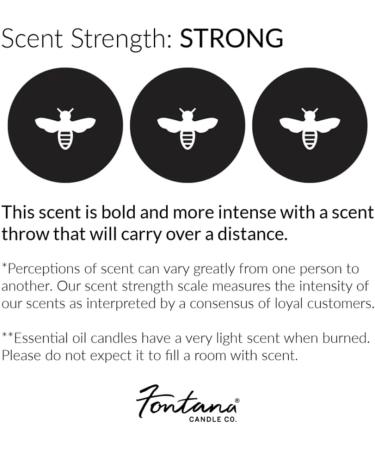 Fontana Candle Company Peppermint Twist Wax Melts - Non-Toxic Beeswax & Coconut Oil | Scented Wax Cubes for International Shipping - Buy Online on GoSupps.com