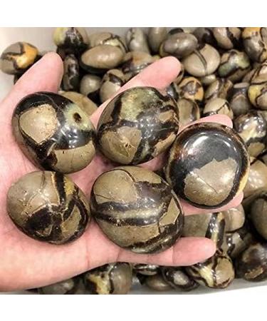 Bulk Natural Quartz Septarium Tumbled Crystals Stones 1pc Chakra Reiki Balancing - Buy Online on GoSupps.com