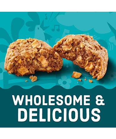 Enjoy Life Apple Cinnamon Breakfast Bars | Nut-Free, Vegan, Gluten-Free | 6-Box Pack - Buy Online on GoSupps.com