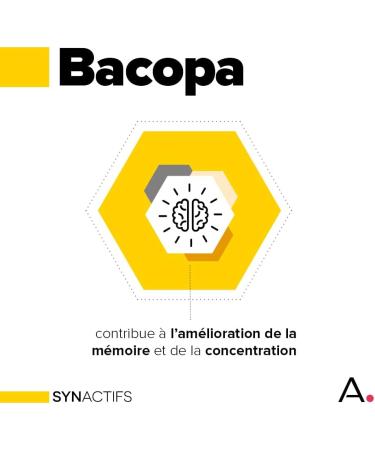 ARAGAN - Geniusactif - Memory and Concentration - Ginkgo Biloba Vitamins Bacopa Caffeine Guarana and Vitamins - 30 tablets - 15 days taken - Made in France - Buy Online on GoSupps.com