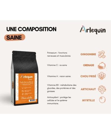 Arlequin Irresistible Grain-Free Superfood Dog Croquettes with Free-Range Chicken - Buy Online on GoSupps.com