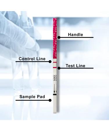 Emnce Company 5 Pack Fentanyl Test Strips - Home Drug Testing Kit for Synthetic Opioid Detection in Urine | Accurate for Various Substances | Forensic Use - Buy Online on GoSupps.com