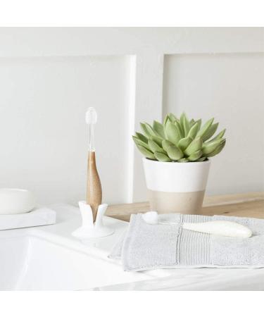 Buy RADIUS Toothbrush Source Floss Brush | BPA Free ADA Accepted Super Soft - Improve Gum Health | Assorted Colors Pack of 6 - International Shipping Available - Buy Online on GoSupps.com