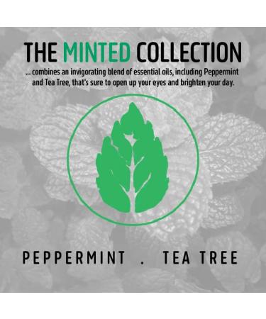 Stache Stick - Organic Peppermint & Tea Tree Mustache Wax (0.15 oz) - International Shipping Available - Buy Online on GoSupps.com