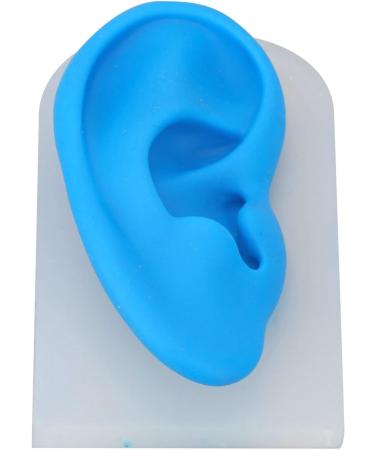 Buy Gernie Ear Model Accessories - Realistic Human Ear Displays for Anatomy & Hearing Enhancement - Buy Online on GoSupps.com