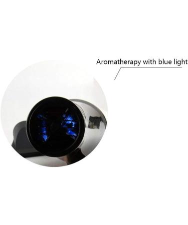 Hair Dryer Professional Ionic Hairdryer 2100W Salon Fast Blow Dryers 3 Heat 2 Speed Settings Low Noise Powerful AC Motor Fast Drying with Nozzle 3.0m Long Cable for Home and Salon Men and Women Small - Buy Online on GoSupps.com