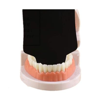 Buy Orthodontic Photographic Glass Mirror Set - 6 Pcs Intraoral Dental Contrast Board for Best Photography Results - Buy Online on GoSupps.com