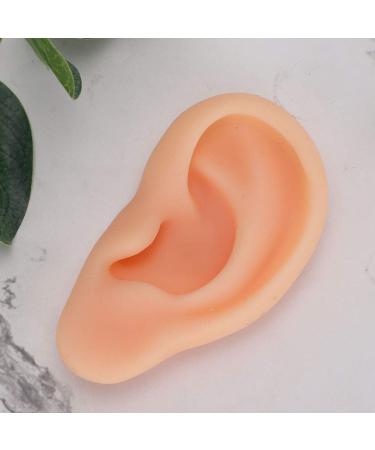 Silicone Left Ear Acupuncture Practice Model - Professional Massage Teaching Tool - Buy Online on GoSupps.com