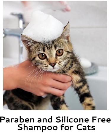 Wahl Canada Cat Oatmeal Shampoo Helps Soothe Dry Itchy Irritated Skin While Reducing Shedding Leaving a Healthy Coat Cat Shampoo Plant Derived Paraben Free 455ml - Model 58346 - Buy Online on GoSupps.com