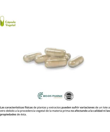 Prostate Support Supplement - Nature Essentials 30 Capsules | Improve Health Naturally - Buy Online on GoSupps.com
