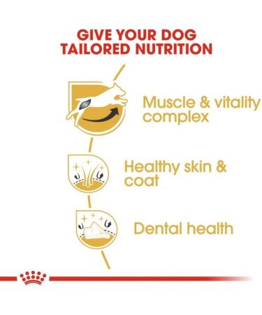 ROYAL CANIN/Jack Russel Terrier Adult 7.5 kg bag Dog food for Jack Russel dogs from 10 months - Buy Online on GoSupps.com