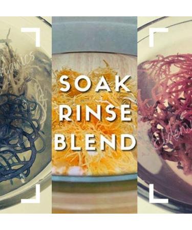 Rainbow Sea Moss Gel - 32oz, Raw, Non-GMO, Sundried, Mineral Rich, Wildcrafted - Buy Online on GoSupps.com