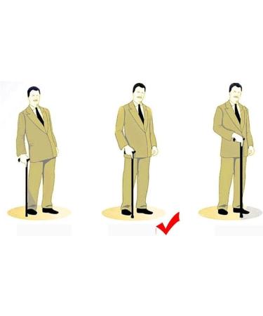 Retractable Crutches Walking Cane for Men & Women Crutches Hello Independence - Buy Online on GoSupps.com
